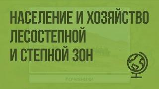 Население и хозяйство лесостепной и степной зон. Видеоурок по географии 8 класс