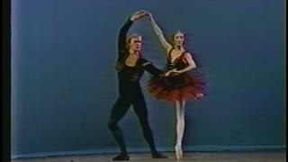 Natalia Makarova & Alexander Godunov - Don Q PDD