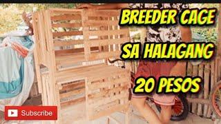 DIY Breeder Cage | Murang halaga 