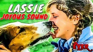 LASSIE - JOYOUS SOUND | Full FAMILY PUPPY Movie in ENGLISH