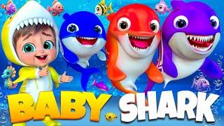 Baby Shark Dance  Sing, Clap & Move with Fun Kids Songs - #cocomelon #nurseryrhymes #children