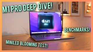 Here's why the cheapest 16" M1 Pro is all you need!