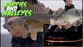 Walleye and Crappie Ice Fishing BEATDOWN on FIRST ICE!