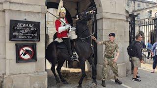 KINGS GUARDS QUICK ACTION TO CONTROL HORSE WHEN PALESTINE PROTESTERS BAND DRUMS  #kingsguard