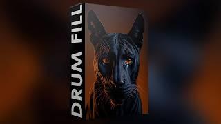 FREE DOWNLOAD DRUM FILLS SAMPLE PACK (Samples for Trap,Rap,Hip hop and Drill) - Louis Vuitton