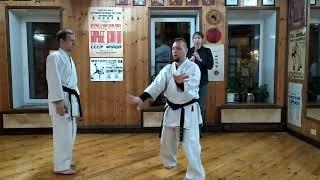 Training Wa uke exercise Uechi ryu karate Okikukai / Sensei Rubin Evgeny