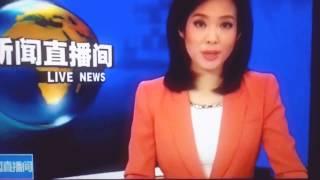 Chinese Cultural Foundation Co-Hosted The Panda Ball - CCTV