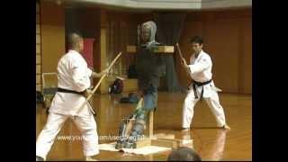 Nakamoto Masahiro. Ryukyu Kobudo