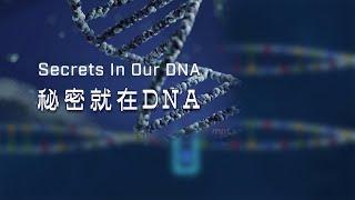 秘密就在DNA