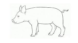 How to Draw a Pig / Как нарисовать свинью