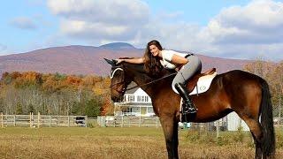 What is Oz Farm? A Horse, Wedding, and Event Farm in Upstate NY Saugerties