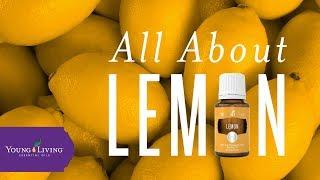 All About Lemon | Young Living Essential Oils