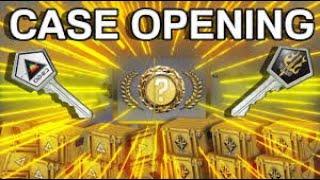 My first ever cs2 case opening video.