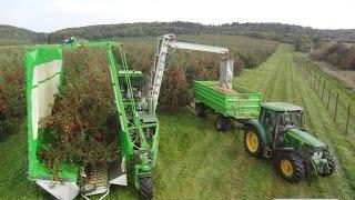 FRUMACO Shake and Catch Apple & Fruit Harvester / Cosechadora fruta / Apfelerntemaschine OE4