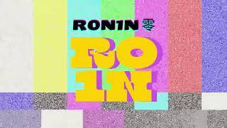 R0N1N 一