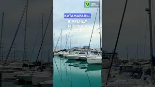️ АРЕНДА ЯХТ И КАТАМАРАНОВ В СОЧИ ПО НИЗКИМ ЦЕНАМ #аренда #морскиепрогулки #арендаяхт