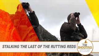 The Shooting Show - Rutting red stags, a driven day at Hadley PLUS pigeon and squirrel control