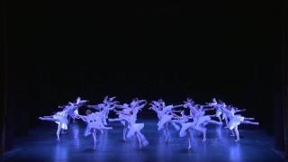 Shades from "La Bayadere' - Semyon Chudin and Anna Nikulina