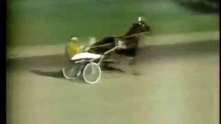 1992 Yonkers Raceway WESTERN HANOVER Cane Pace Elimination Bill Fahy