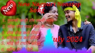 गुलाबी साड़ी लाली लाल।।Gulabi Sadi Lali Lal Singer Chinta Devi&Pankaj Mahali New Nagpuri Song 2024।।