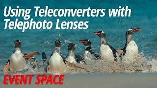 Using Teleconverters with Telephoto Lenses with Arthur Morris