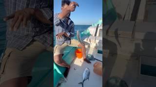 Double Trouble! Twin Trevally Smash Live Prawn Bait in Deep Sea! #DoubleTrevally  #DeepSeaFishing