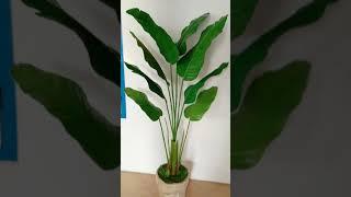 Cara Membuat Pohon Pisang Palsu | How to Make Artificial Plant