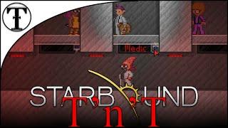 Crew and Mercenary Guide :: Starbound Tips and Tricks