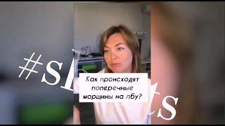 Почему появляются поперечные морщины на лбу? / Елена Бахтина #shorts