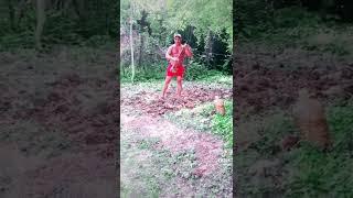 The Farmer ( P )