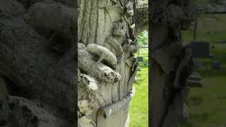 Beautiful Woodmen of America monument #cemetery #history