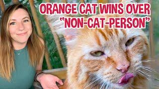 Orange cat chooses man who claims to be "not a cat person" - now they're best friends