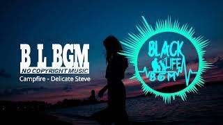 Campfire - Delicate Steve | Rock Calm Music | No Copyright Music | Black Life BGM