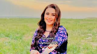 Nazdar Hey Dunyayê Lyrics - نازدار وەی دونیایێ ژێرنوسی کوردی سۆرانی