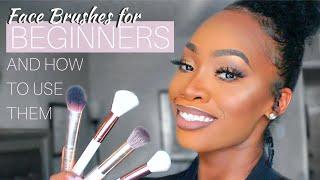 FACE BRUSHES for BEGINNERS (And How to Use Them) | Maya Galore