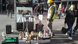 Cat bin man in Glasgow