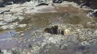 INSANE HAWAII MAUI  BLOWHOLE! LOOK DOWN THE HOLE! RIPPIN!!!