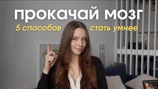 Как прокачать свой мозг: 5 эффективных способов. Ноотропы и Нейропластичность.