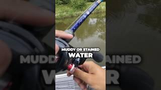 The BEST Color for Dirty Water Bass Fishing  #fishing