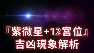 【紫微星+12宮位】吉凶現象超乾貨解析！麥可大叔30年紫微斗數算命命理老師