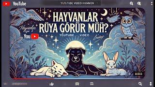 hayvanlarda rüya görür mu?! #hayvanlar #bilgi #hayvan #hayvanlaralemi