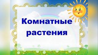 Комнатные растения