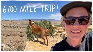 I took my dog on an epic ROADTRIP (Cologne to Los Angeles)