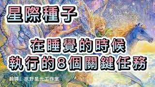 星際種子於睡眠中執行的8個關鍵任務