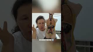 Какие главные причины боли в желудке? #доктор #массаж #женское здоровье #врач #ольга гуреева