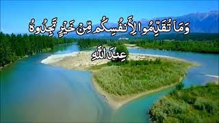 Surah Muzammil with Urdu Translation Heart Touching Reaction #Quran #SurahMuzammil