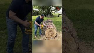 DeWALT FlexVolt Sawzall VS Huge Log!!