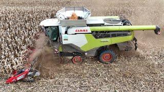 CLAAS LEXION 8900TT bei der Körnermais Ernte / Abfahrer JOHN DEERE 8335R / 4K