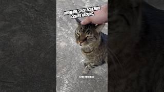 When your Shop Foreman is the BEST Boy#mechanic #cars #trucks #cats #trending #viral #shop #garage