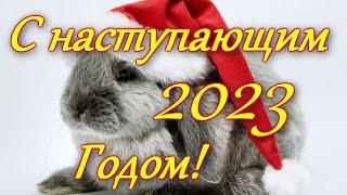 С Наступающим Новым Годом 2023! Встречаем Год Кролика! Красивое новогоднее видео поздравление.